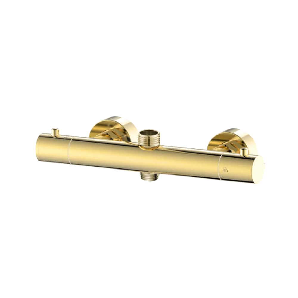 OE Plutus Brushed Gold Thermostatic Bar (2 Outlets) – Modern Elegance & Functionality